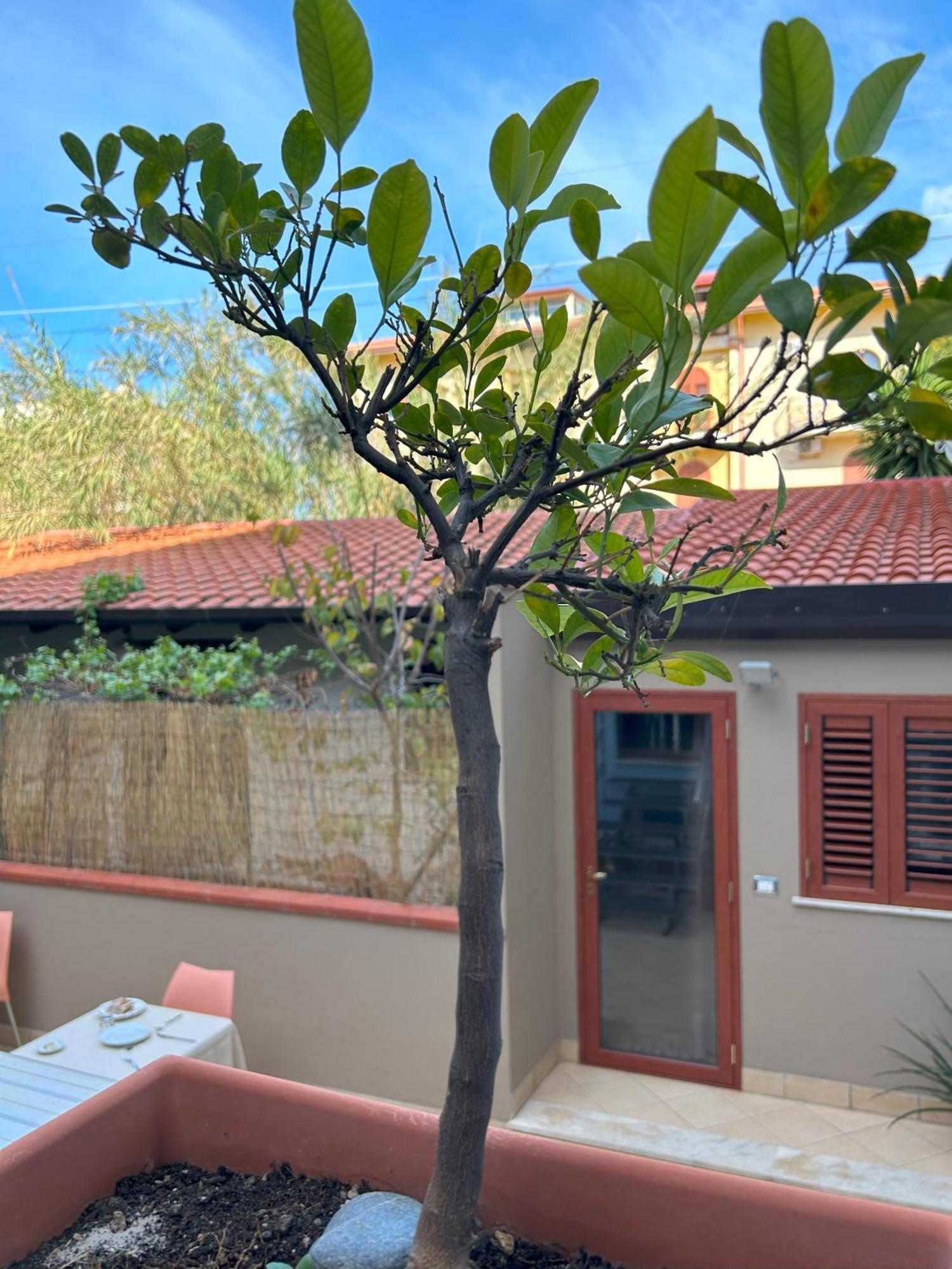 La Piazzetta Bed & Breakfast Giardini Naxos Ngoại thất bức ảnh